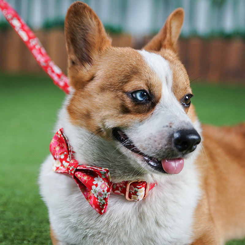 Red And Flower Style Female Leash Set