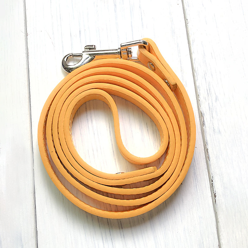 Pet Leather Control leash collar