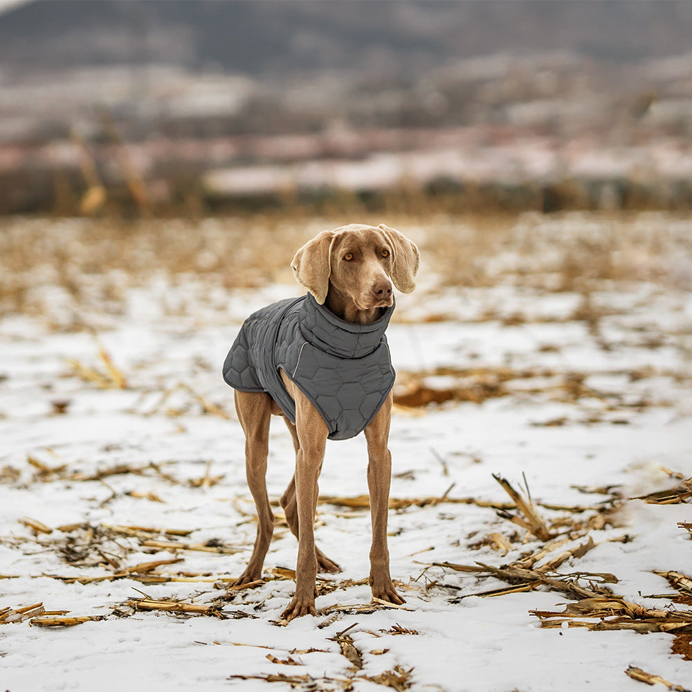 Winter Pet Clothing Thickened Dog