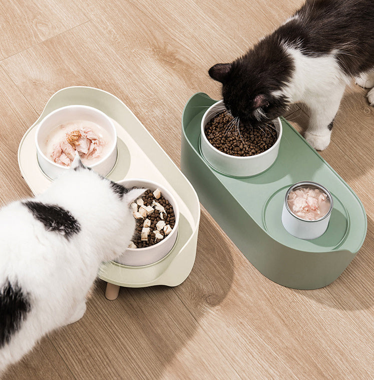 Double Bowls Protect Cervical Dog Drinker Food Bowl