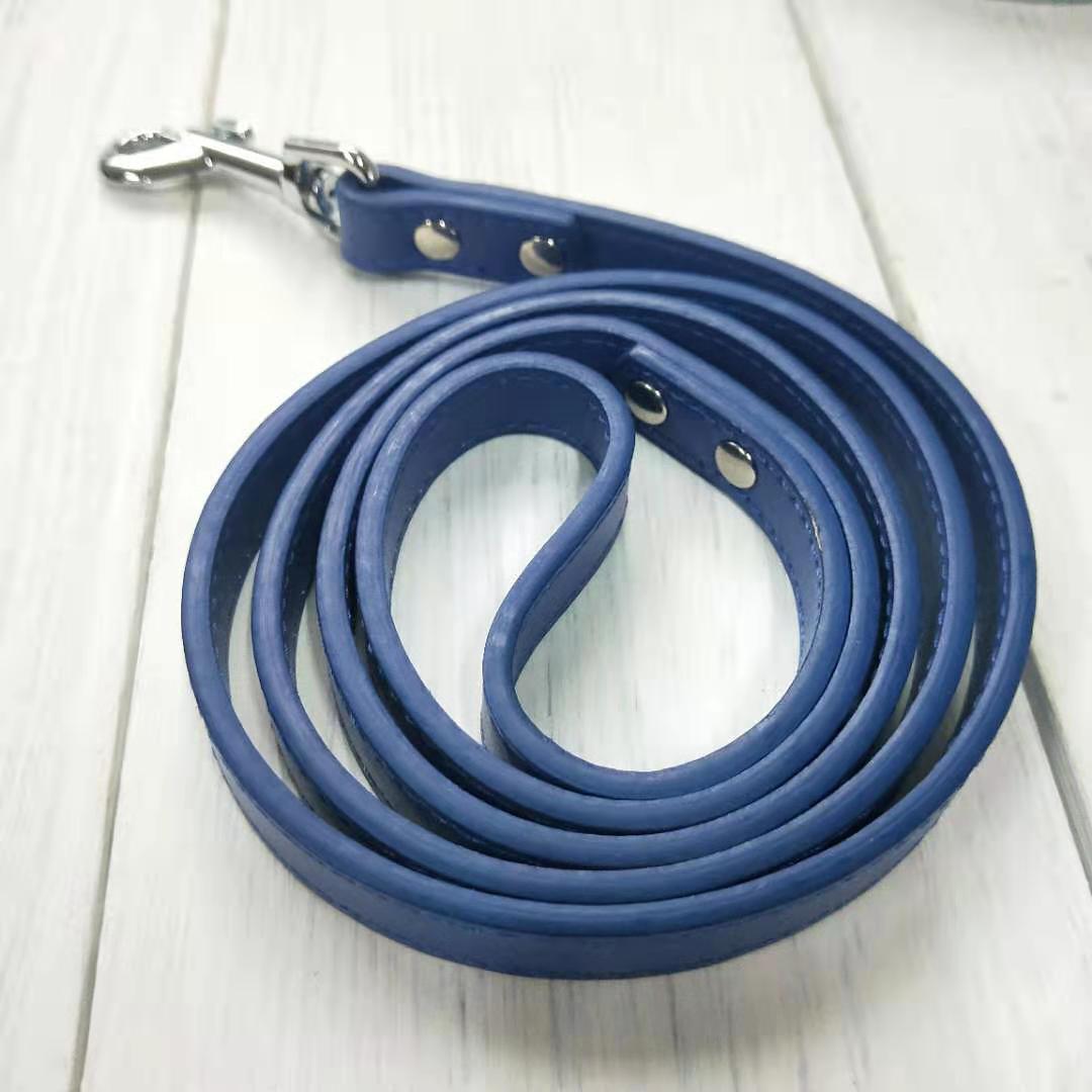 Pet Leather Control leash collar