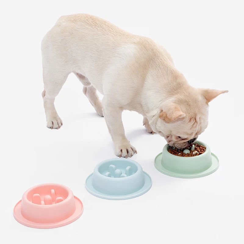 Pet Slow Eating Feeder Dog Feeding Food Bowls Anti-Chocking