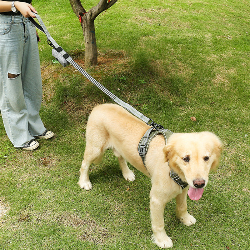 Fluorescent Pet Explosion-proof Punch Elastic Retractable Dog Leash